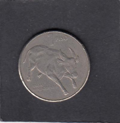 Beschrijving: 1 Piso BULL